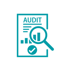 Icon: audit review